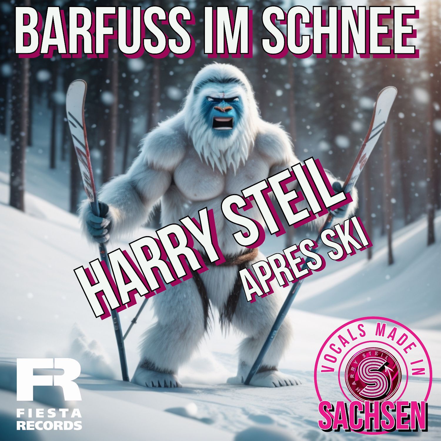 Harry Steil – Barfuß im Schnee