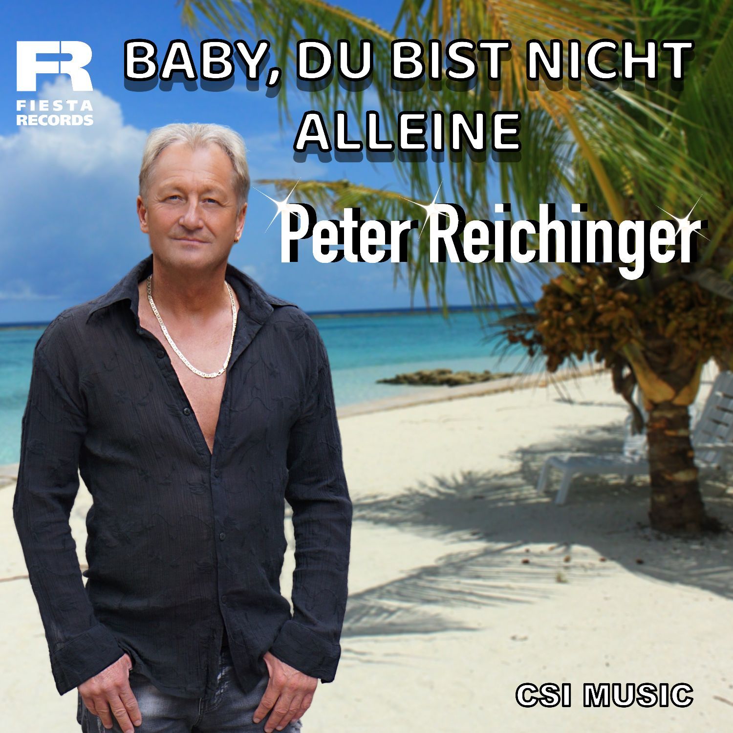 Peter Reichinger - Baby, du bist nicht alleine