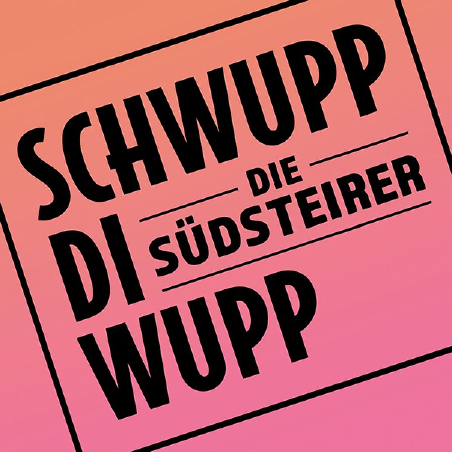 Die Suedsteirer - Schwuppdiwupp